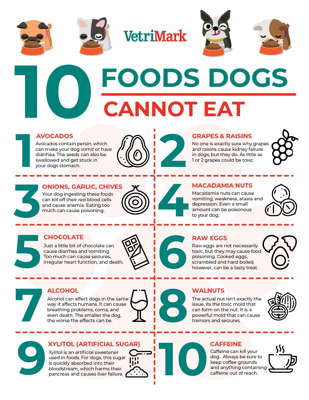 10 Foods Dogs Cannot Eat PDF VetriMark