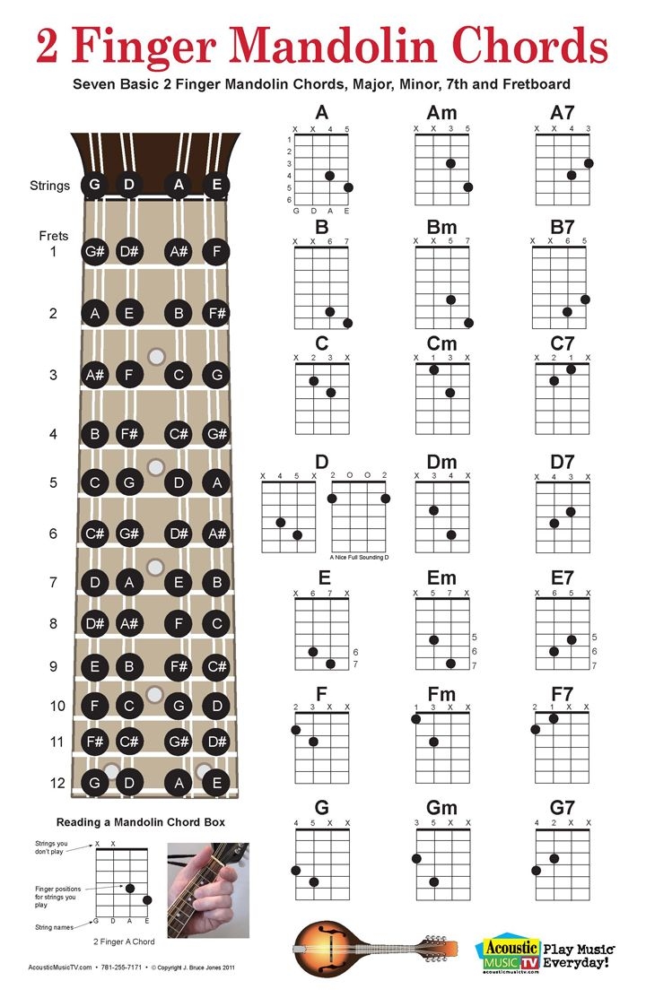 2 Finger Mandolin Chord Poster And Chart Includes Fret Board