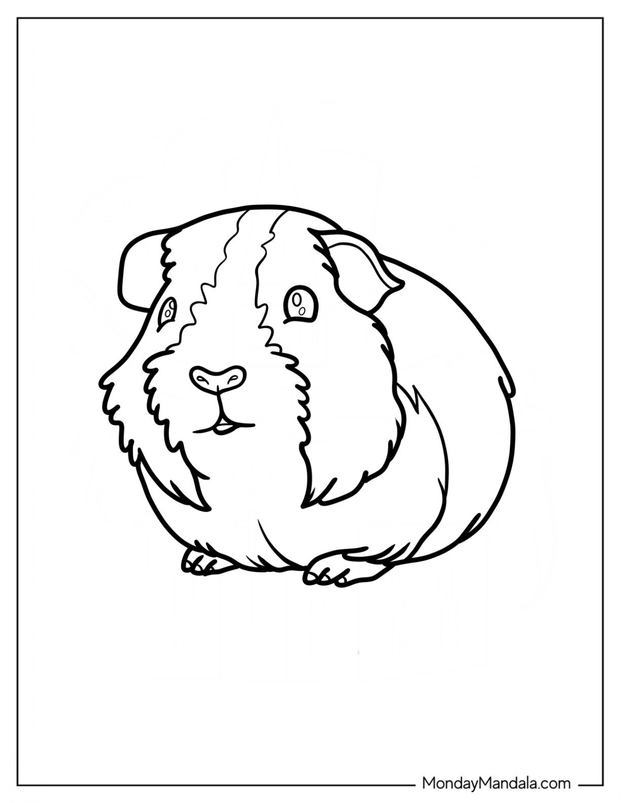 20 Guinea Pig Coloring Pages Free PDF Printables 
