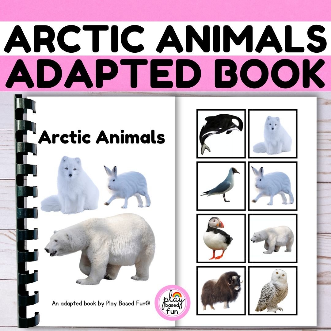 Adapted Books PLAY BASED FUN