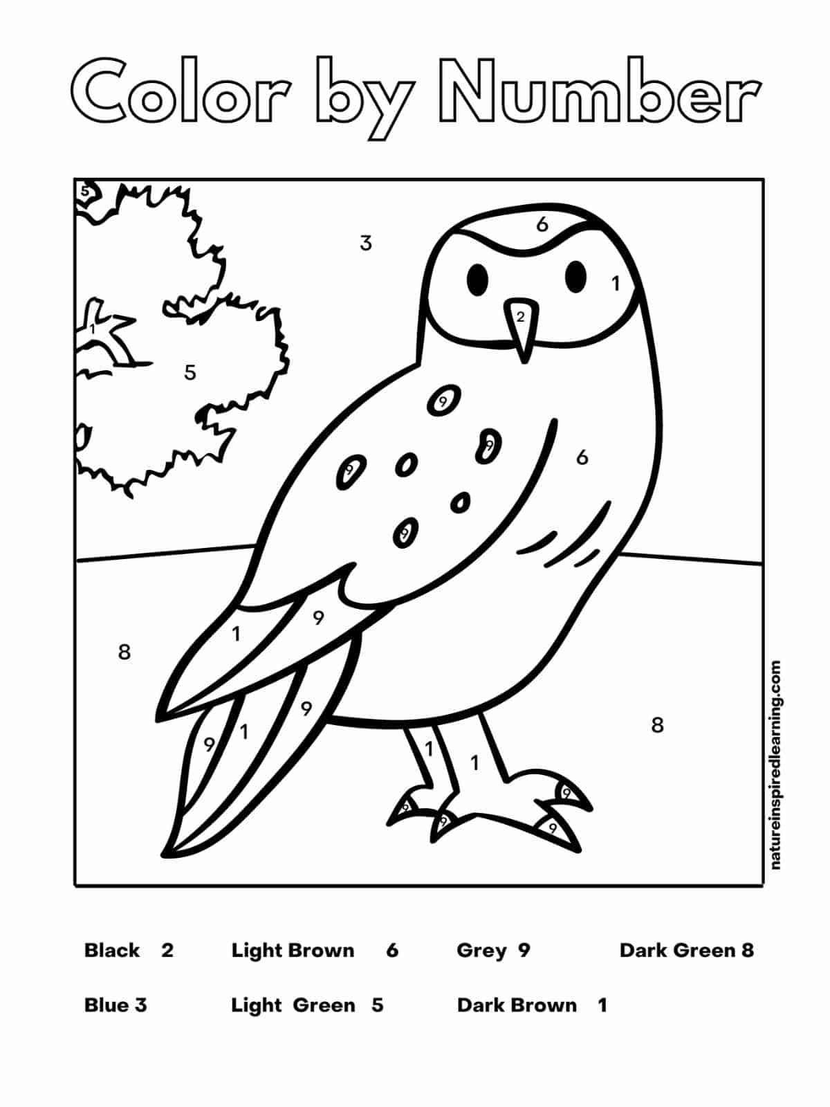 Animal Color By Number Worksheets Nature Inspired Learning