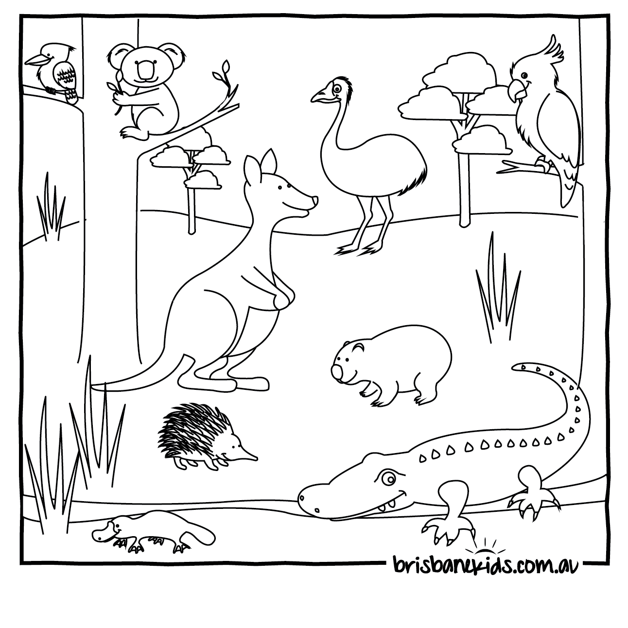 Australian Animals Colouring Pages Brisbane Kids