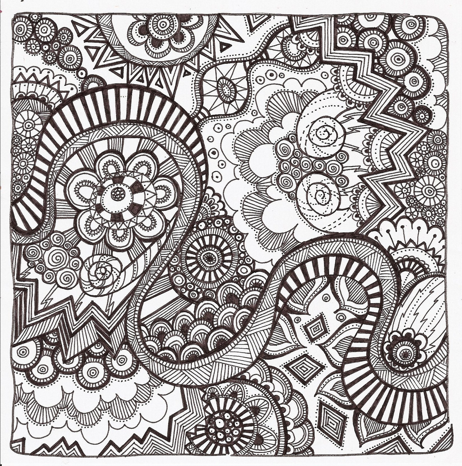 Can Doodling Help Island Senior Resources