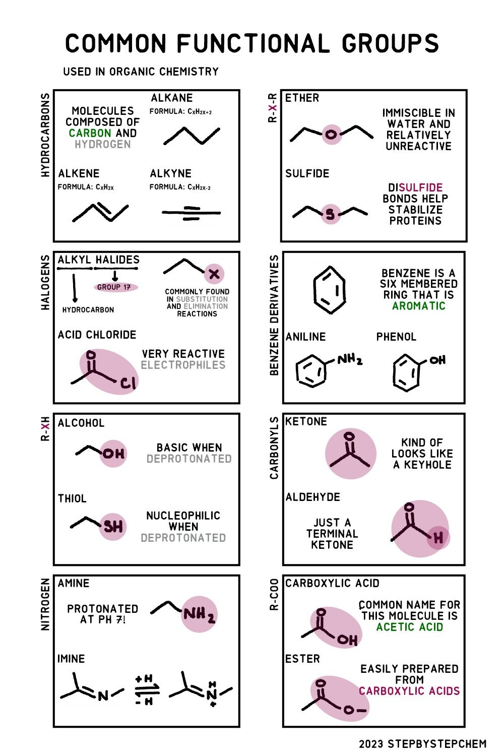 Common Functional Groups In Organic Chemistry