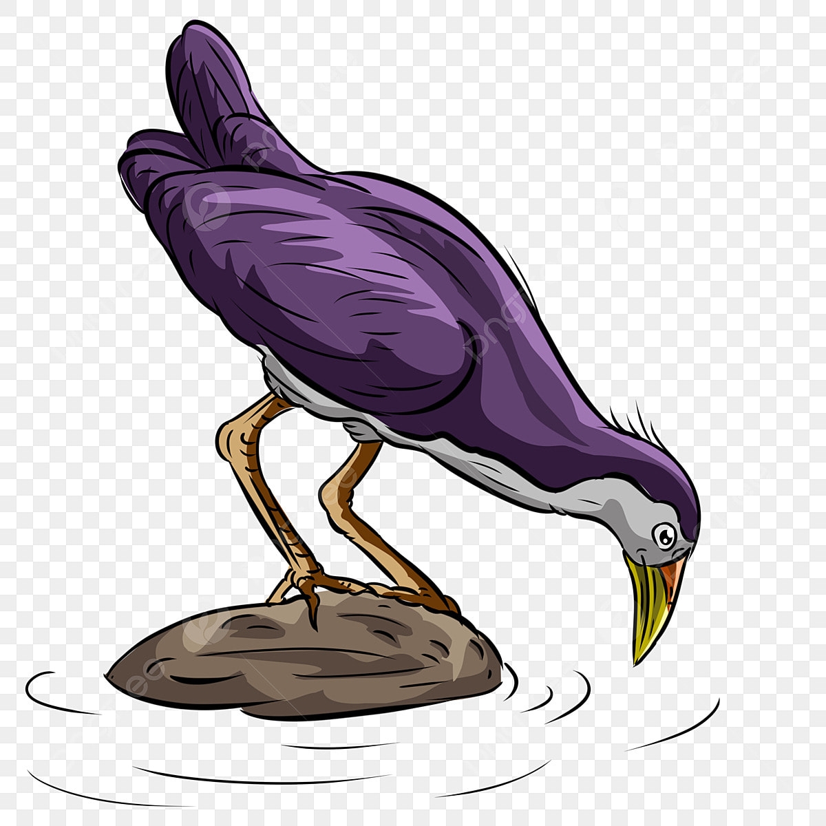 Crow Bird Clipart Transparent Background Birds Birds Birds Crow Drinking Water Nature Woods Forest Flying Animals Forest Advertising Background Plant PNG Image For Free Download
