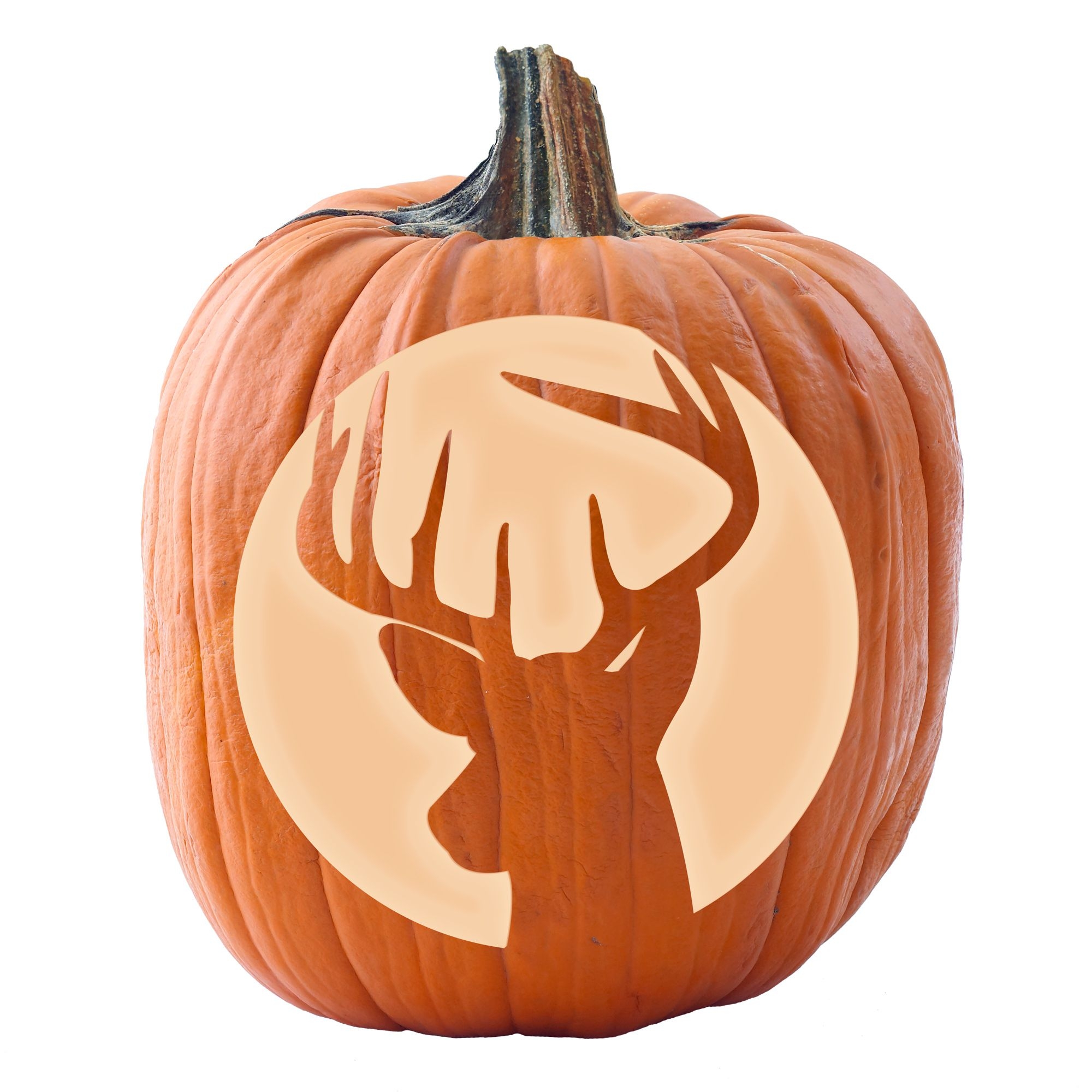 Cute Patterns For A Witch Face Pumpkin Carving And More