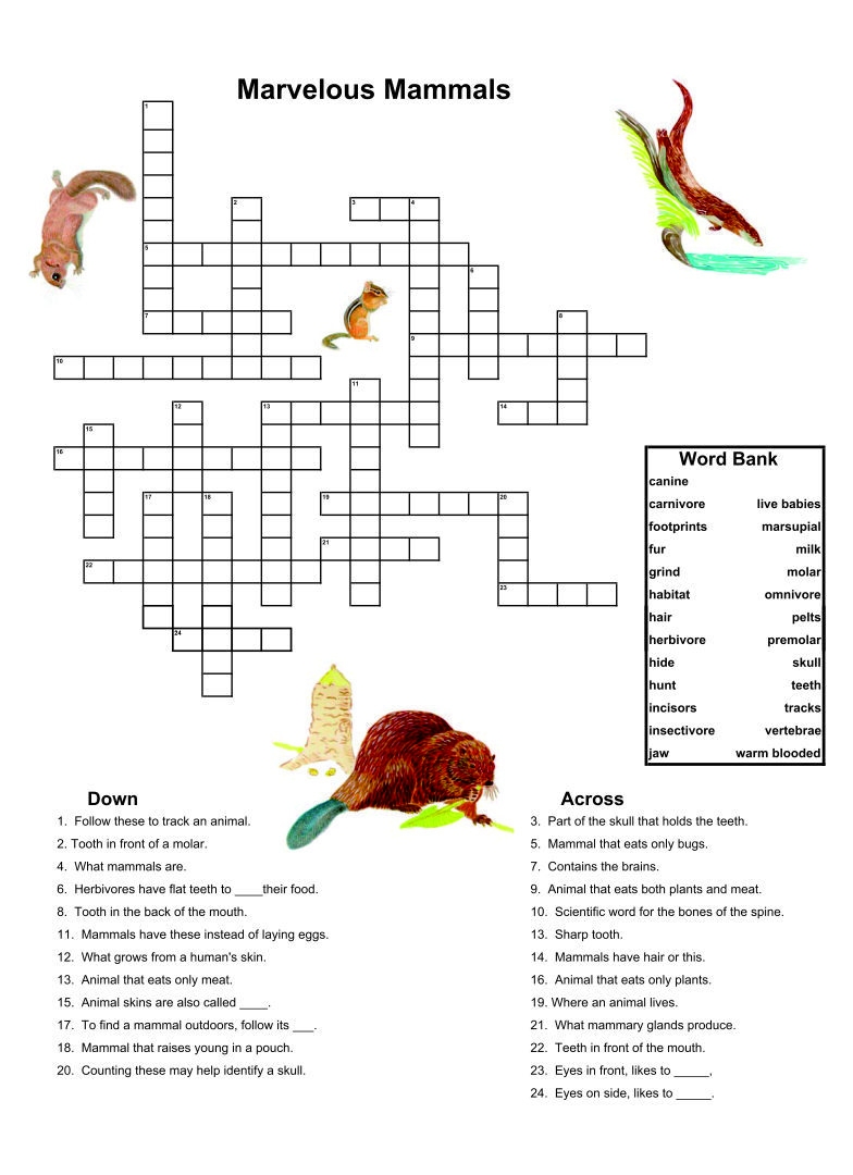 Dementia Activities 10 Free PDF Printables Printablee
