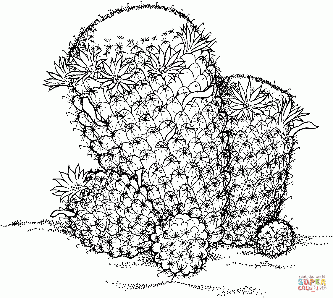 Desert Coloring Pages Free Printable 5680196