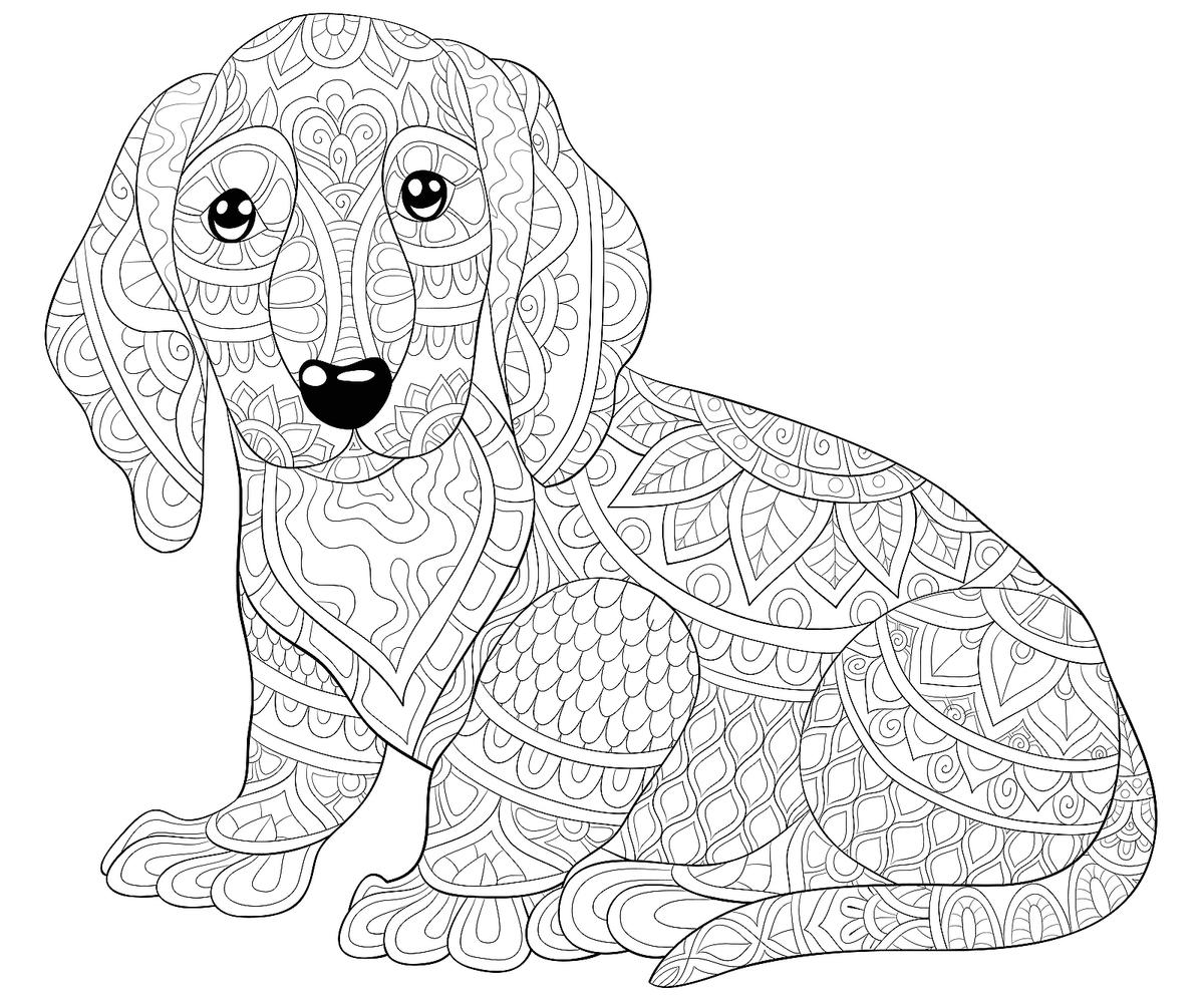 Free Printable Pet Coloring Pages