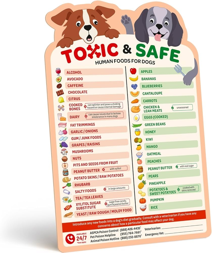 EBPP Magnetic List Of Foods Dogs Can Eat Dog Feeding Chart Fridge Magnet Foods Dogs Shouldnt