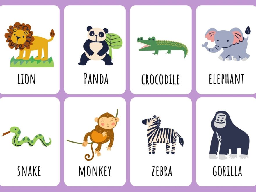Free Animal Flashcards To Customize And Print Canva