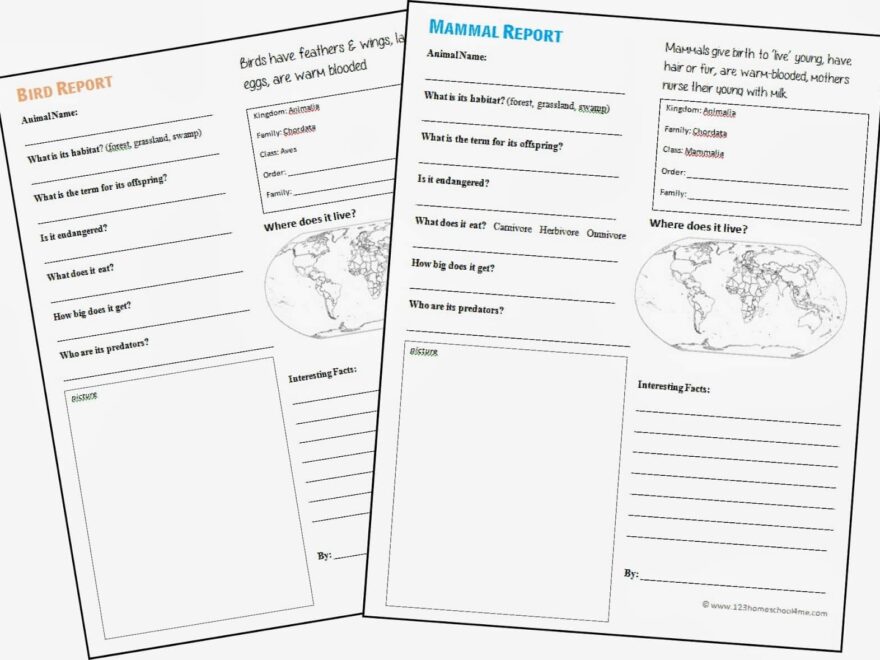 FREE Animal Report Template