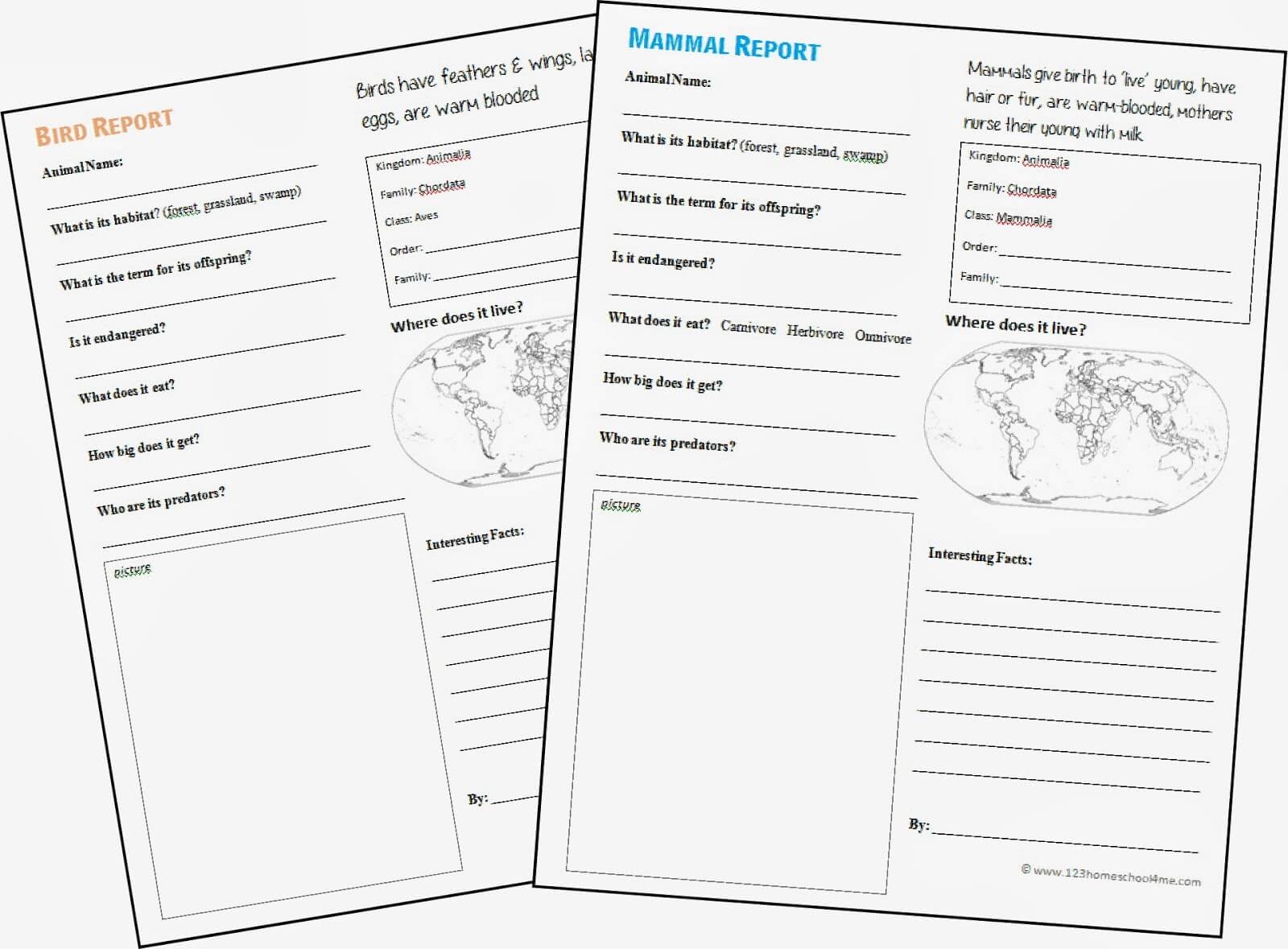 FREE Animal Report Template