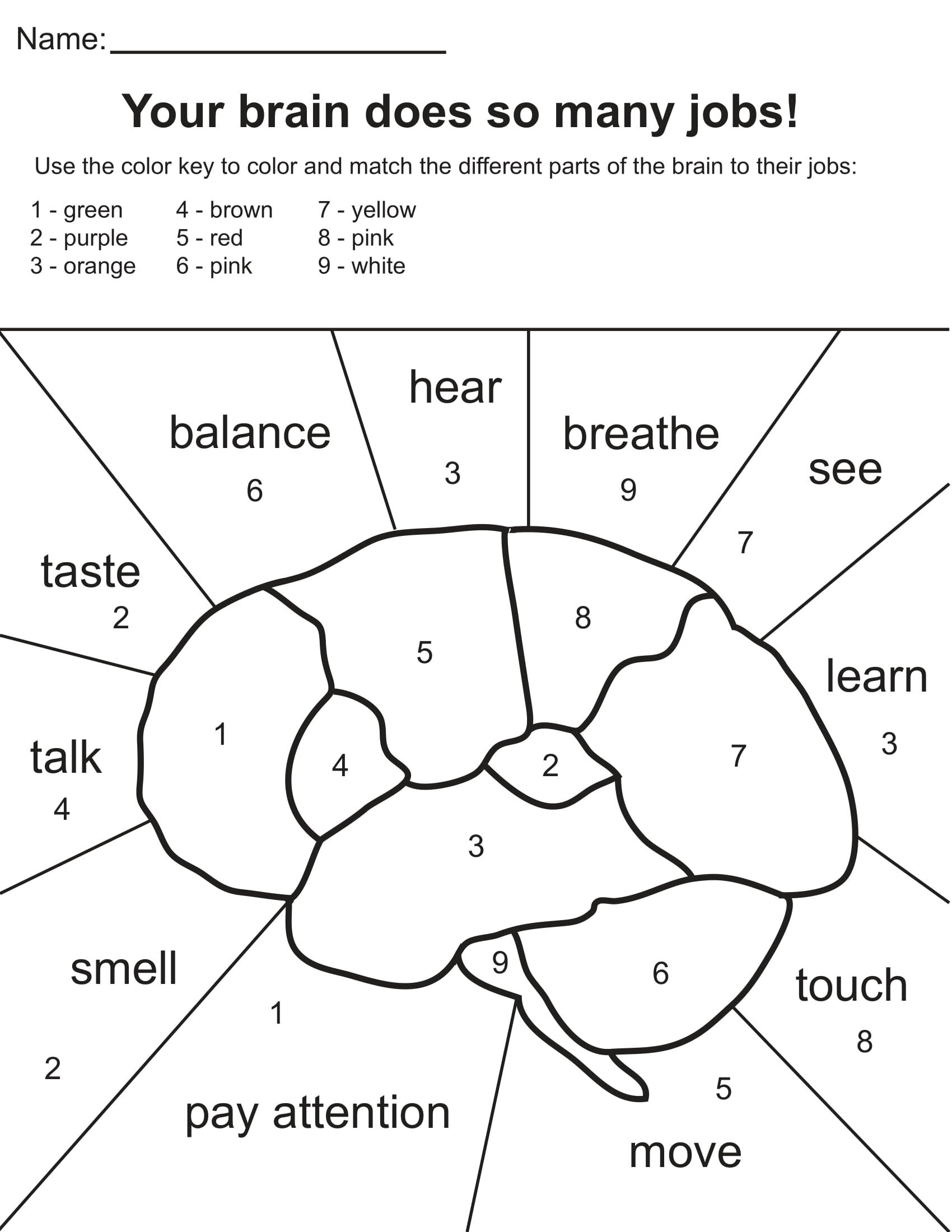 Free Printable Brain Coloring Pages