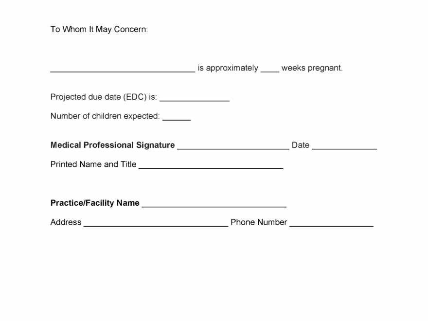 Free Pregnancy Verification Letter PDF Word
