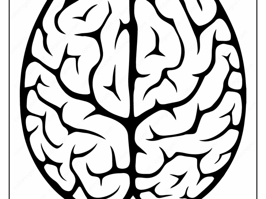 Free Printable Brain Outline Pdf Coloring Pages