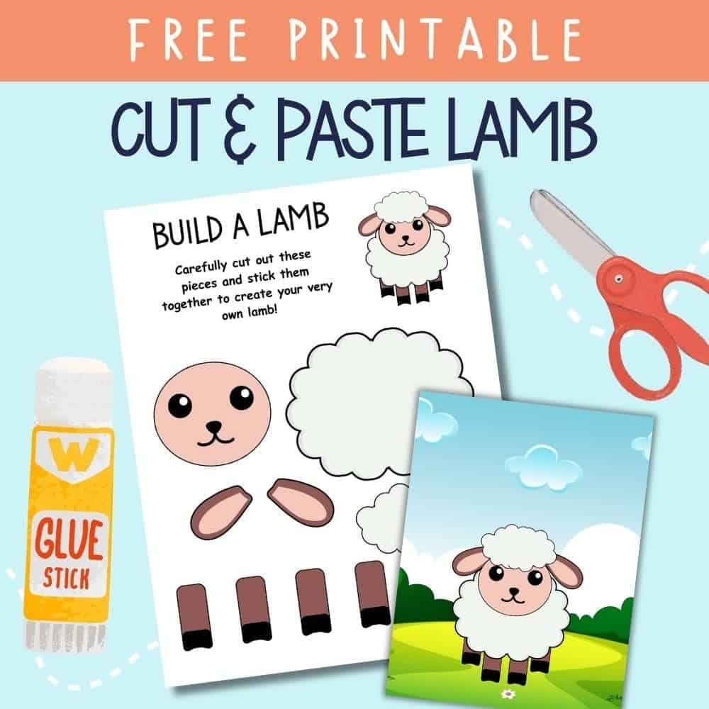 Printable Worksheet For A Lamb