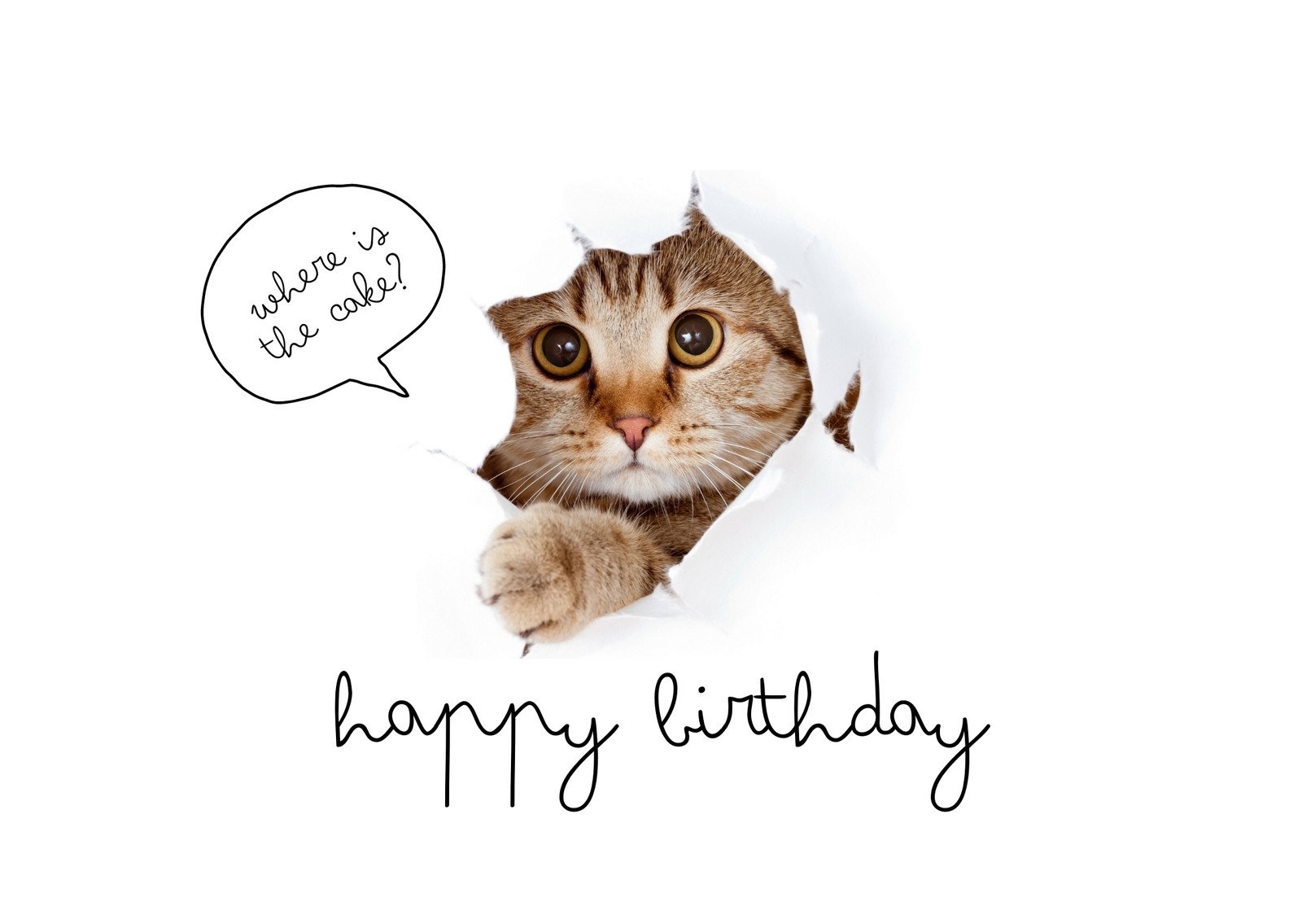 Free Printable Funny Birthday Card Templates Canva Worksheets Library
