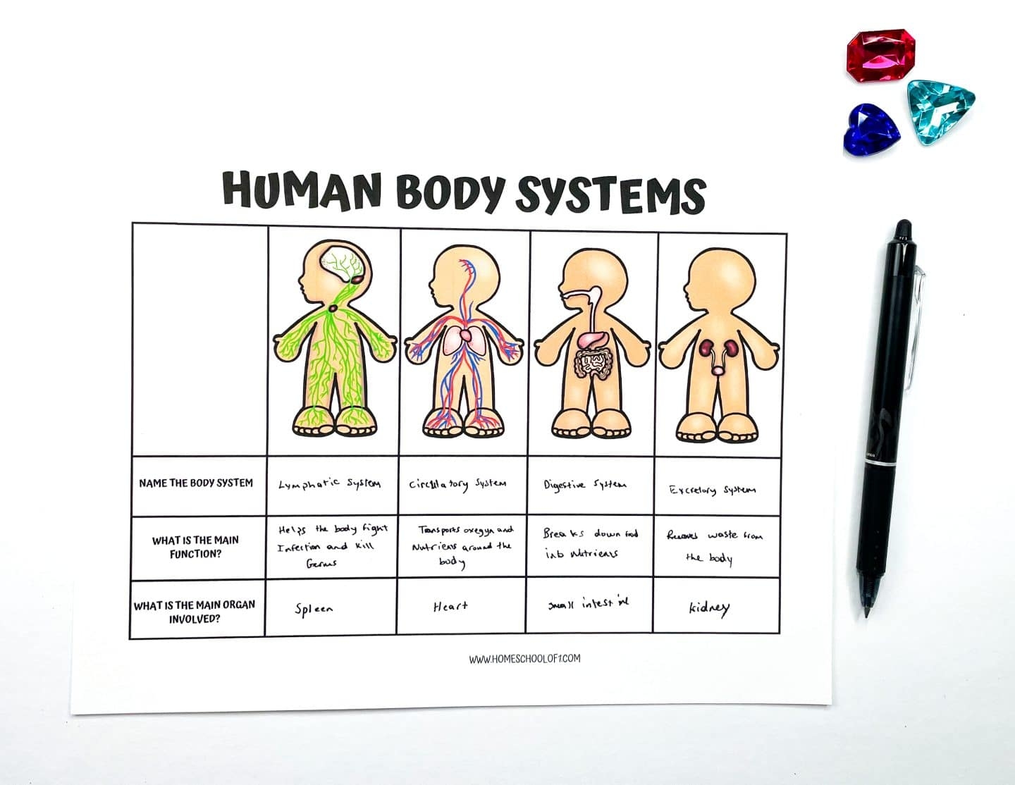 Free Printables Human Body Systems