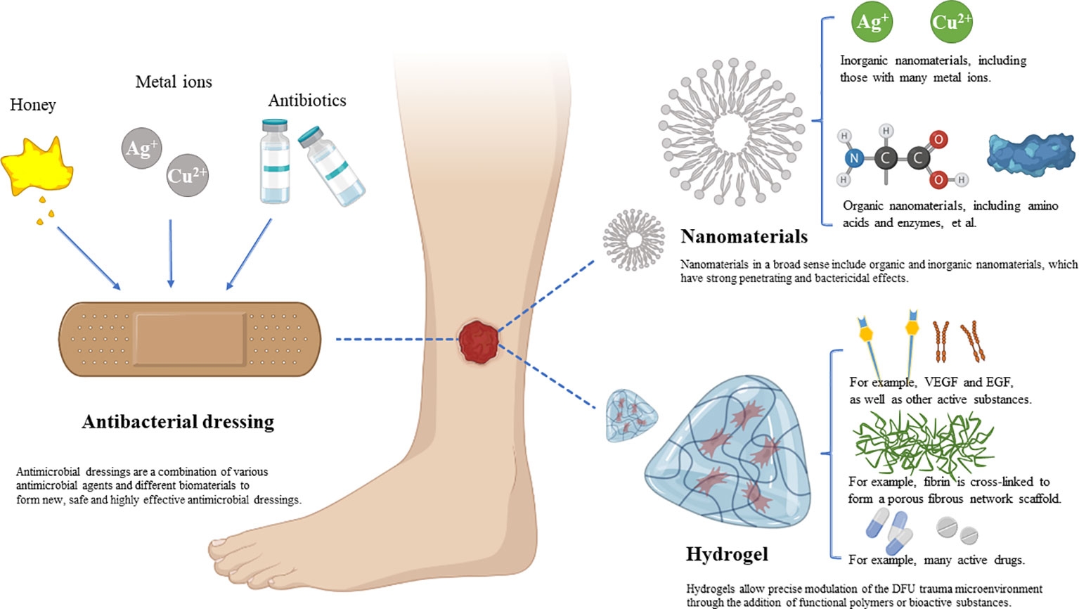 Frontiers Current Status And Progress In Research On Dressing Management For Diabetic Foot Ulcer