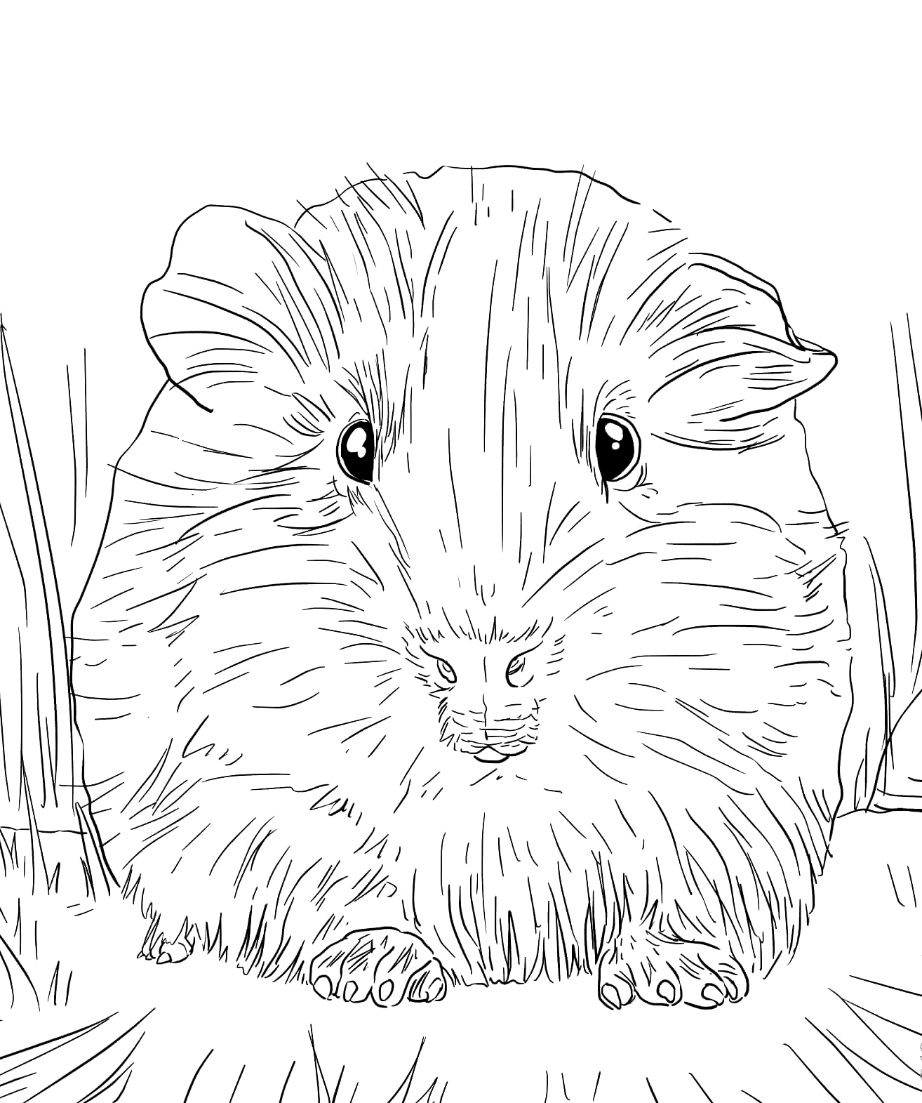 Guinea Pig Coloring Pages Printable Coloring Pages FREE