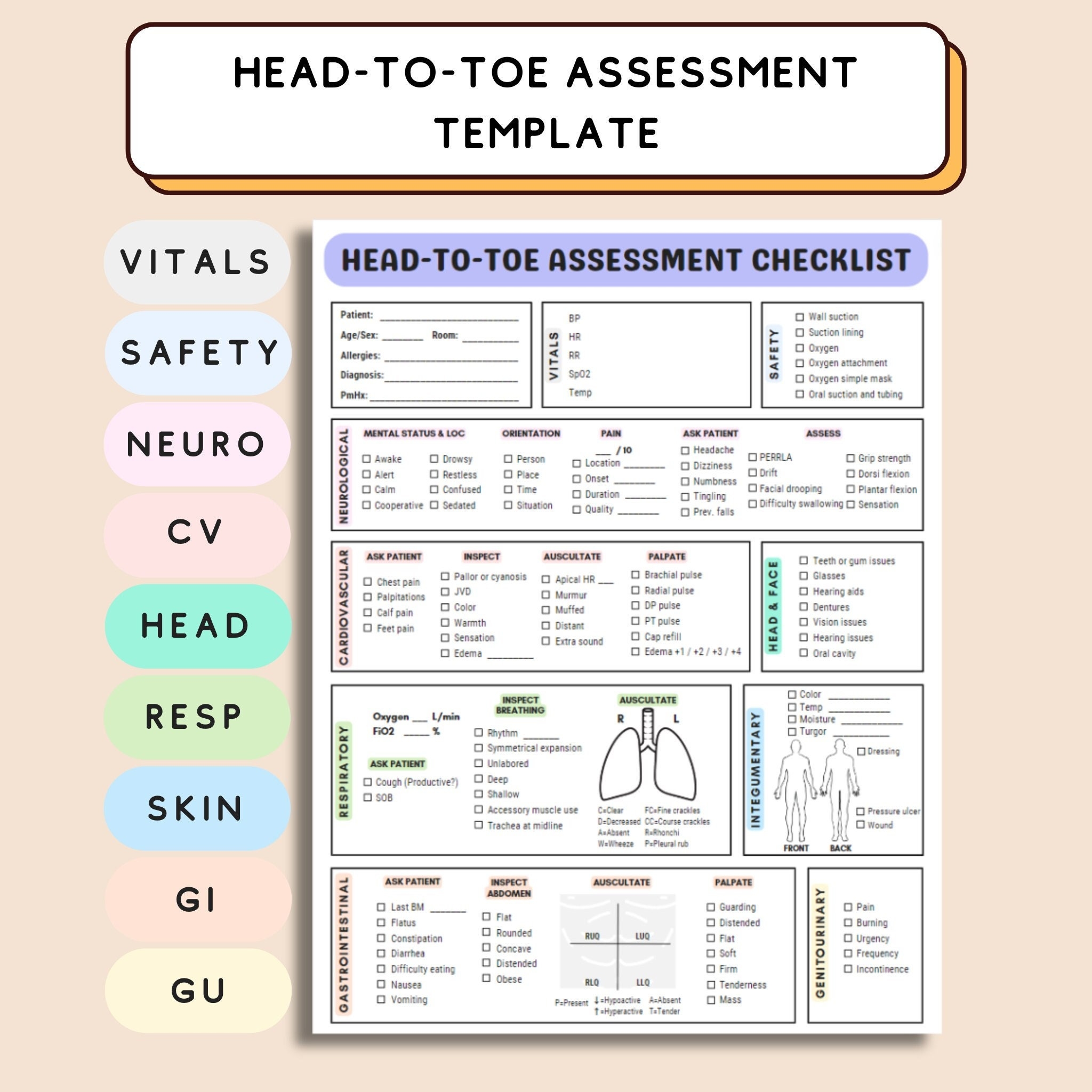 Head To Toe Assessment Template For Nursing Student Head To Toe Template For Nursing Student Head To Toe Assessment Checklist For Nurse Etsy