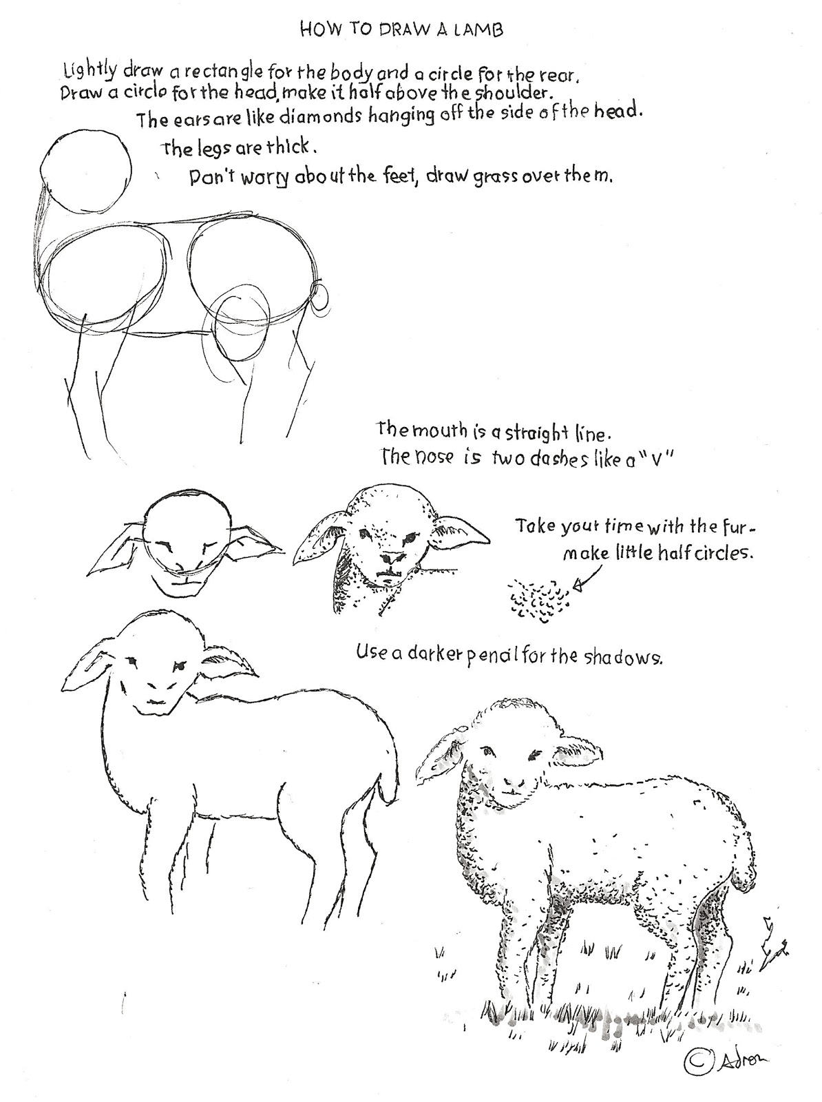 How To Draw Worksheets For The Young Artist How To Draw A Fuzzy Lamb Worksheet And Lesson 