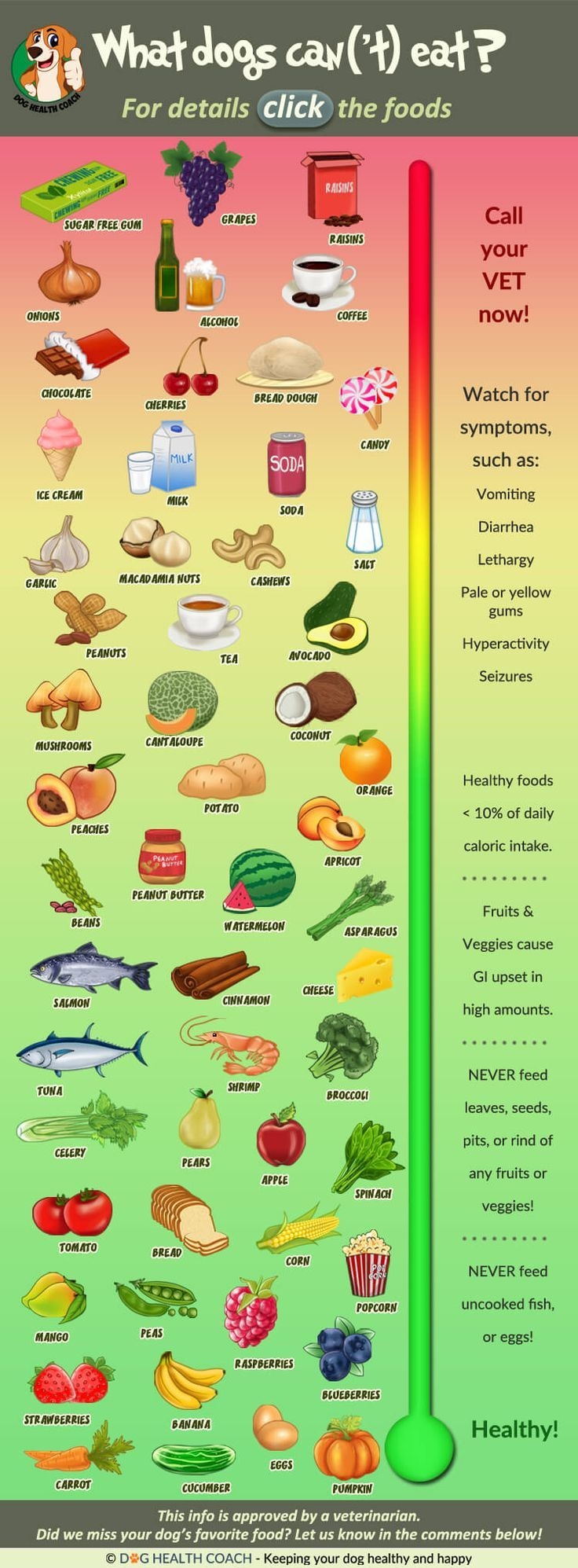 Info Graphic Of 55 Human Foods Dogs Can And Can t Eat Vet Approved 