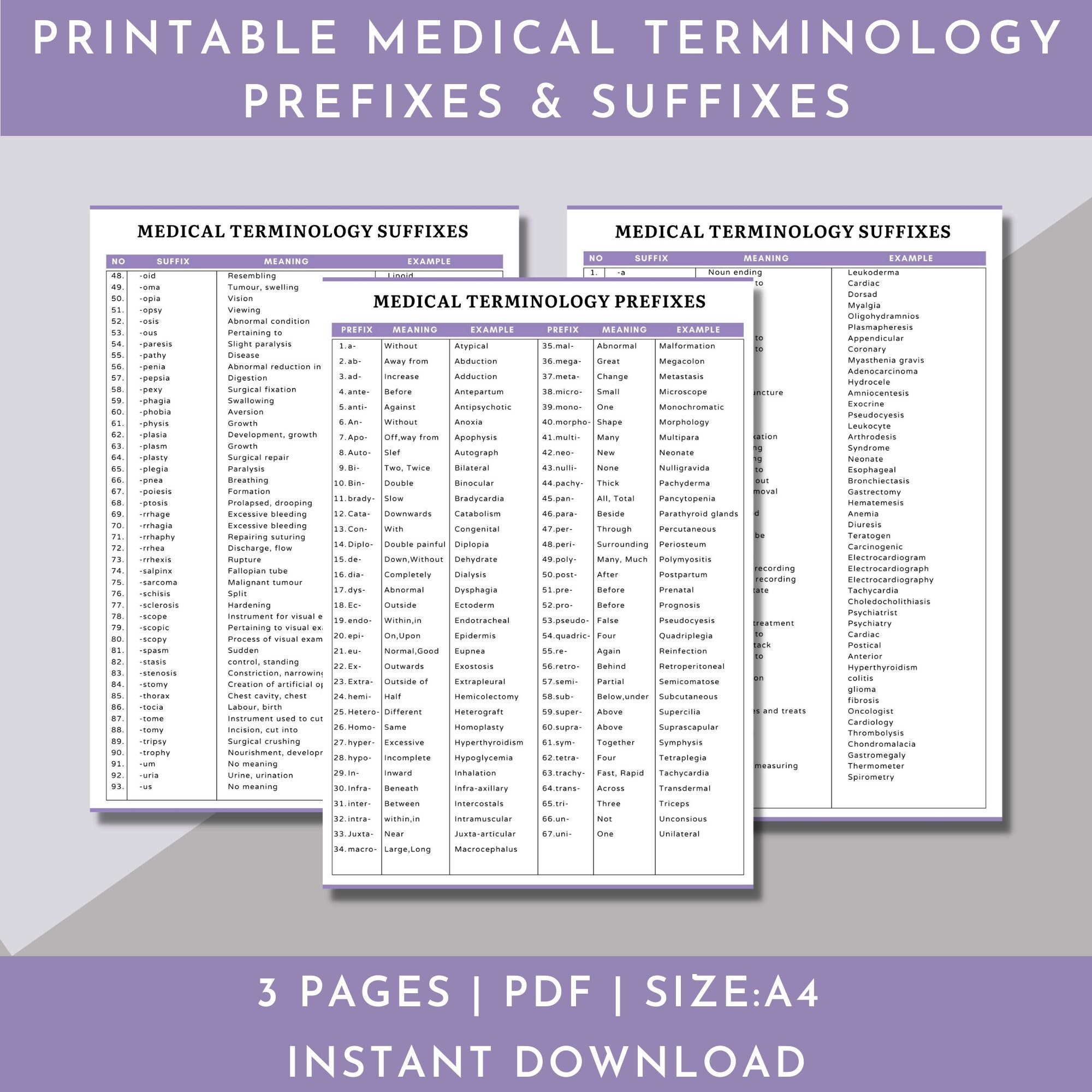 Medical Terminology Flashcards medical Terminology Prefixes And Suffixes Study nursing Study Notes And Cheat Sheets nursing Report Sheet Etsy