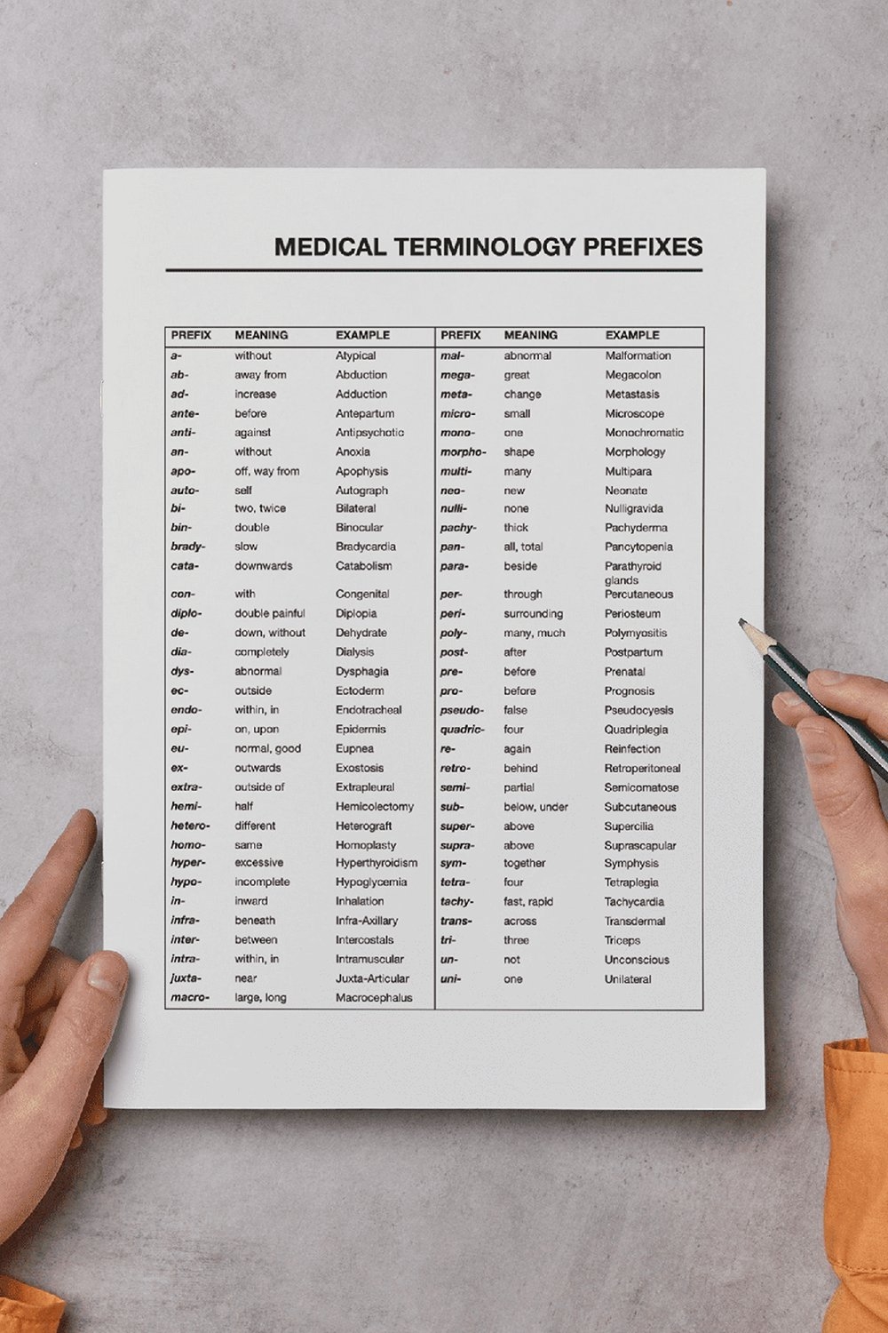 Medical Terminology List Prefixes And Suffixes Pdf