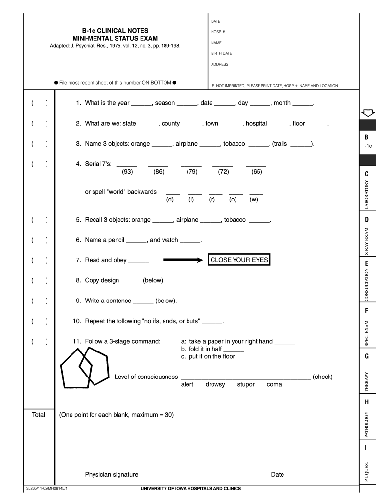 Mini Mental Status Examination Pdf Fill Online Printable Fillable Blank PdfFiller