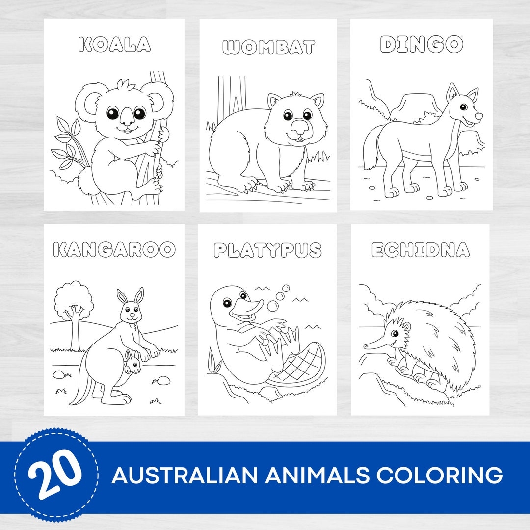 Native Australian Animals Coloring Pages Australian Animals Printables Australian Mammals Marsupials Coloring Coloring Printables Etsy UK