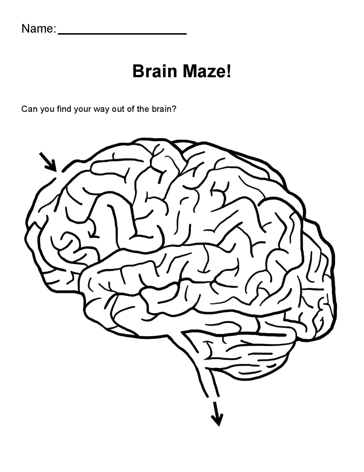 Neuro Coloring P Pages GLIA