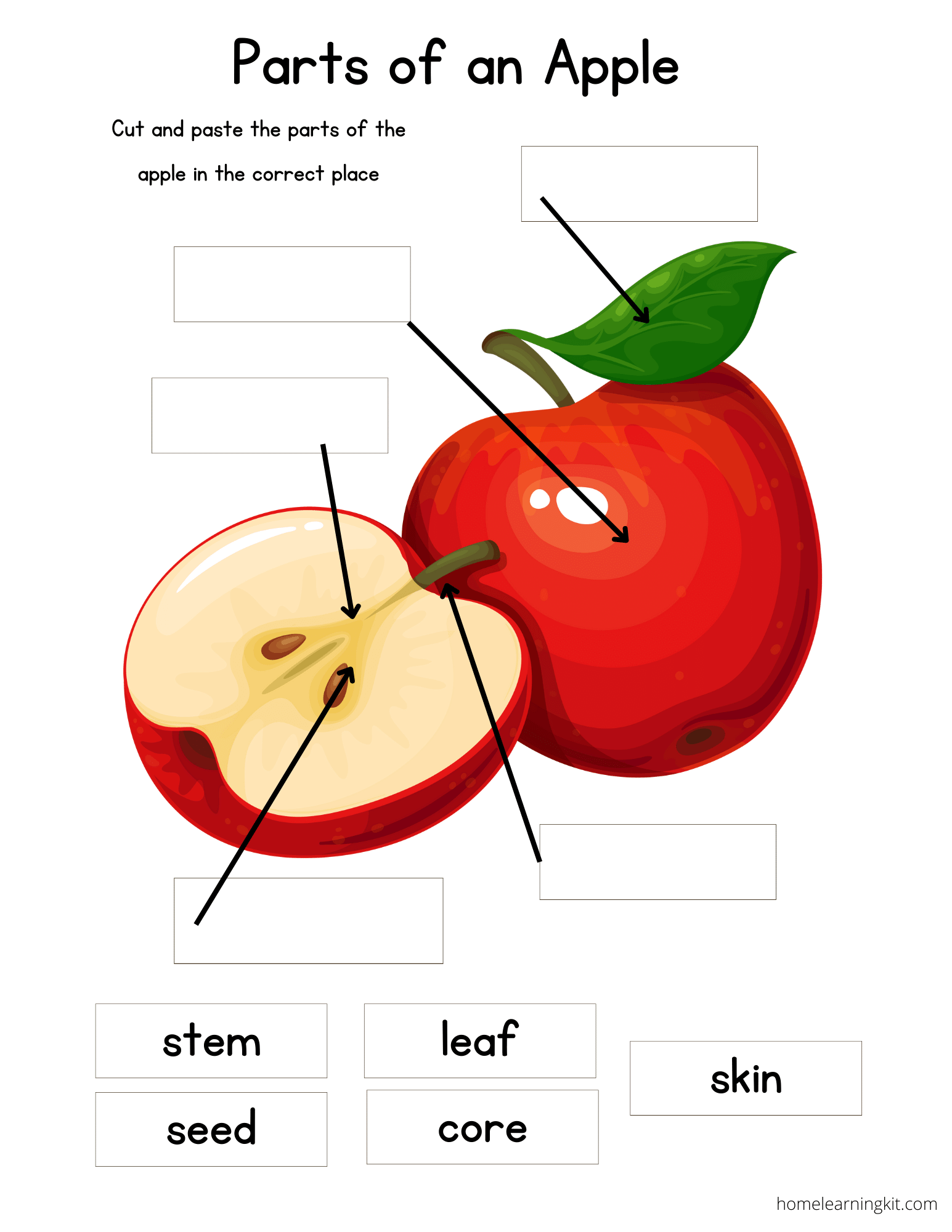 Parts Of An Apple Free Printable Home Learning Kit