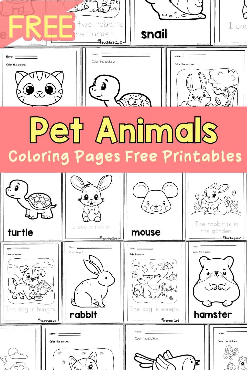 Pet Animals Coloring Pages The Teaching Aunt