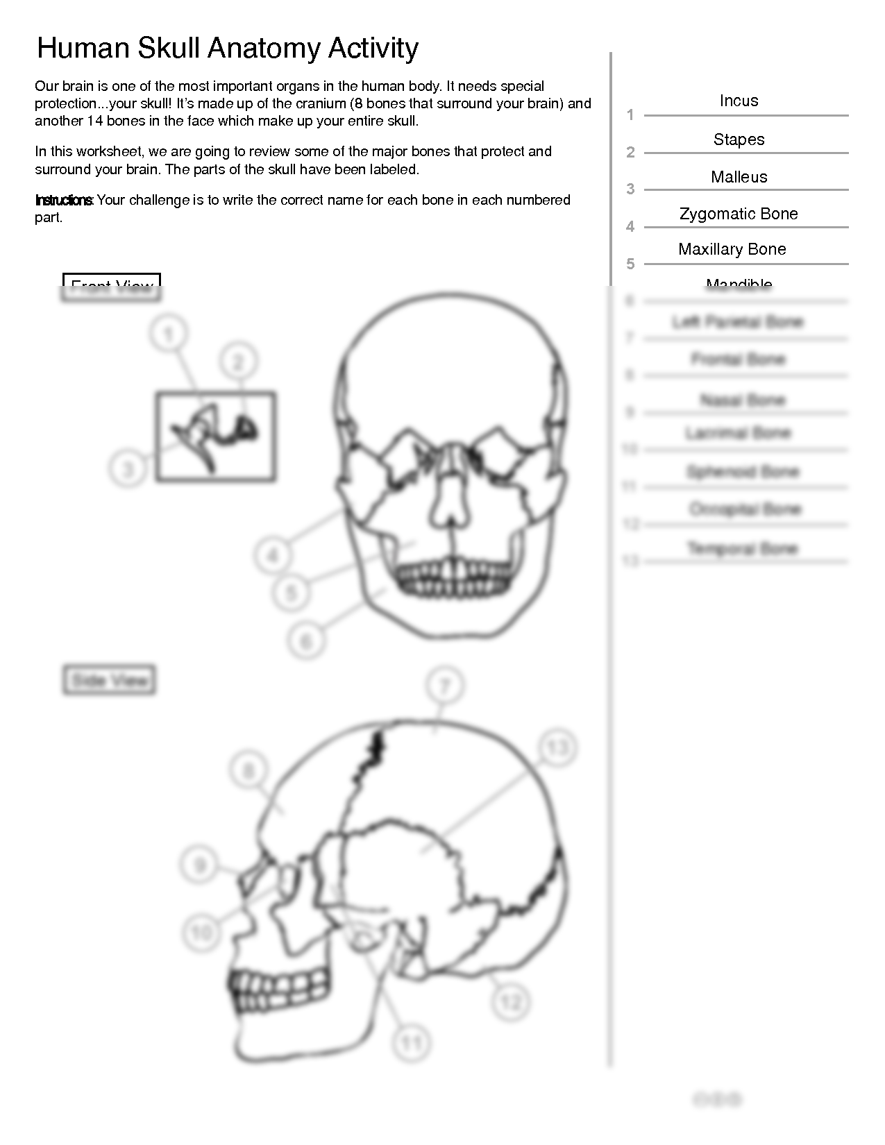 SOLUTION Human Skull Anatomy Diagram With Labelings Worksheet Worksheets Library