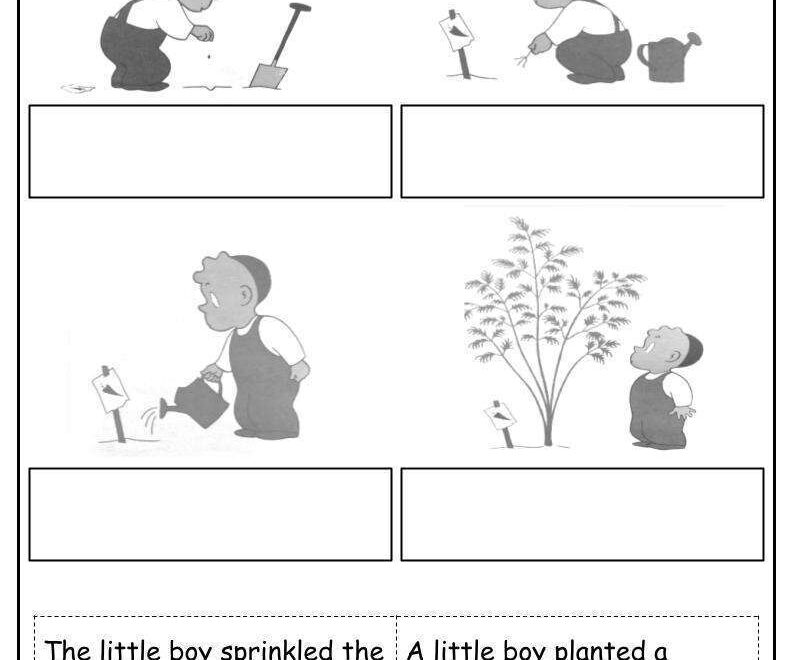 The Carrot Seed