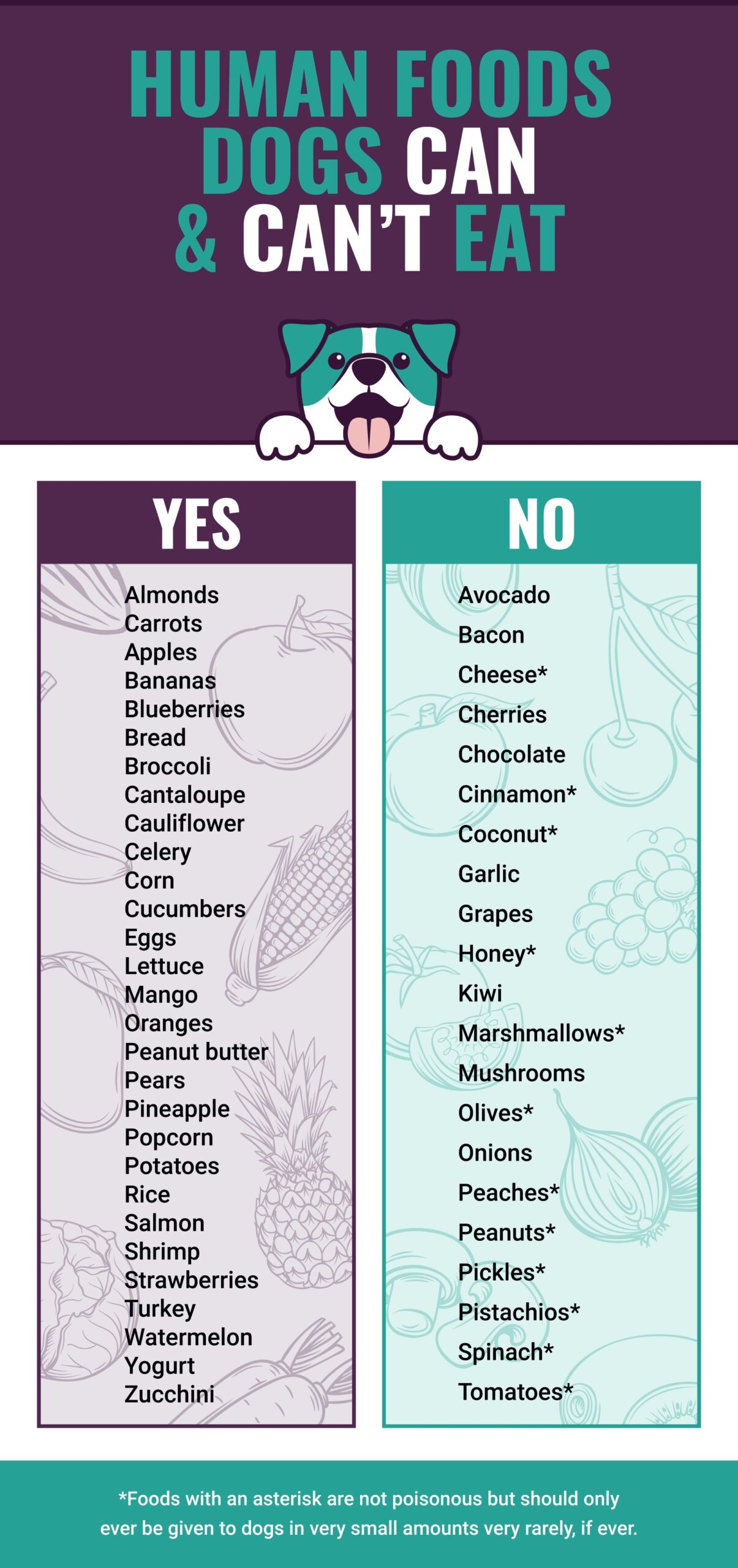 Things That Dogs Cannot Eat Store
