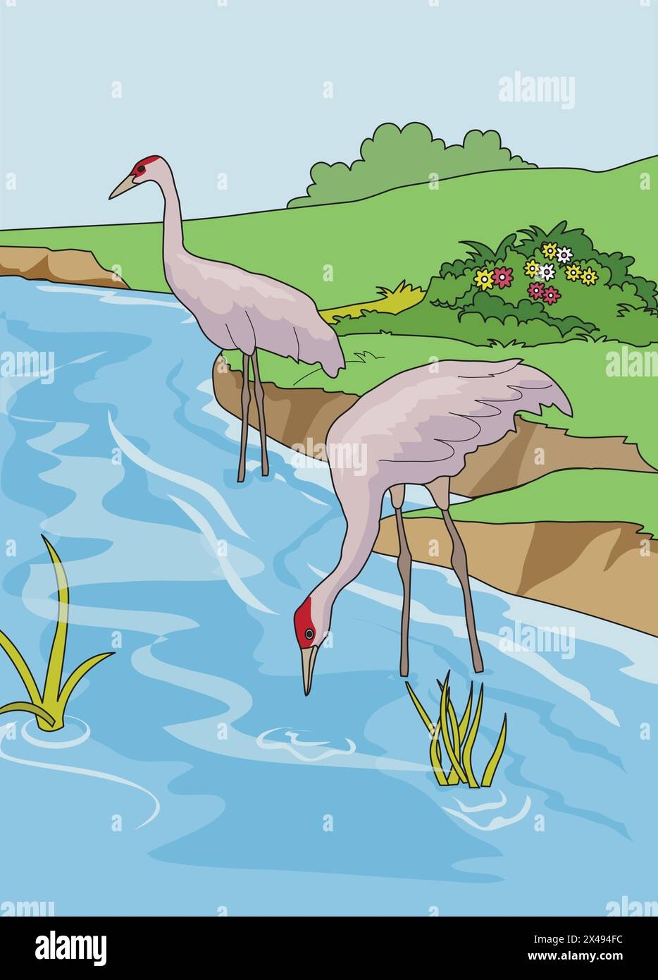 Water Bird Stock Vector Images Alamy